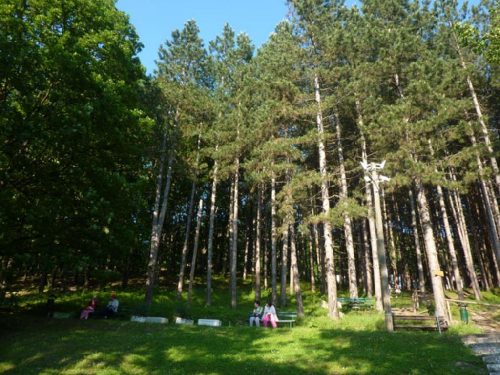 Gornja Trepča Guesthouse Edelnice מראה חיצוני תמונה
