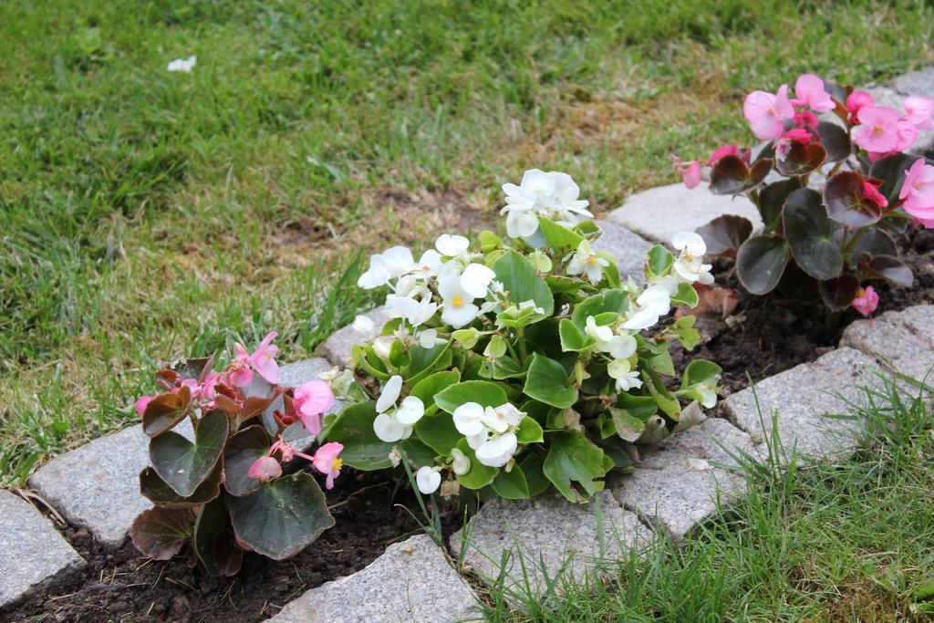 Gornja Trepča Guesthouse Edelnice מראה חיצוני תמונה