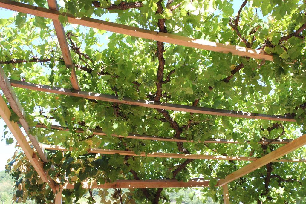 Gornja Trepča Guesthouse Edelnice מראה חיצוני תמונה