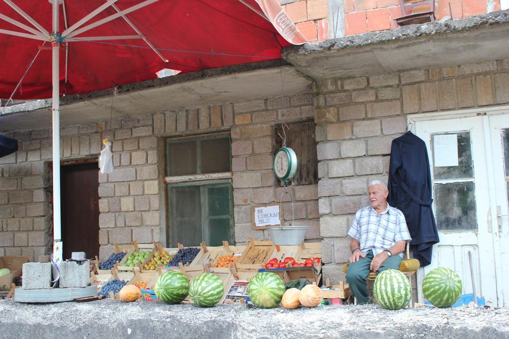 Gornja Trepča Guesthouse Edelnice מראה חיצוני תמונה