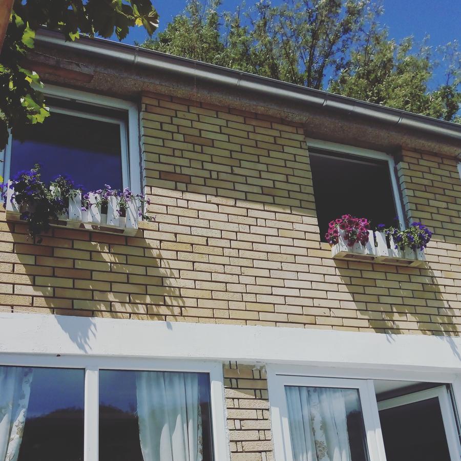 Gornja Trepča Guesthouse Edelnice מראה חיצוני תמונה
