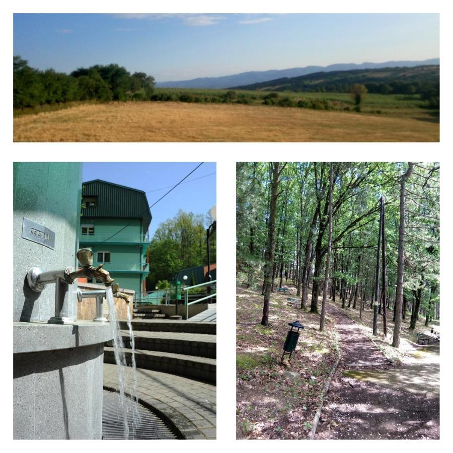 Gornja Trepča Guesthouse Edelnice חדר תמונה